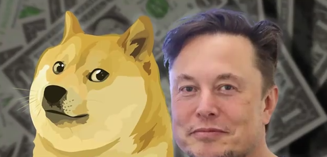 狗狗AI量化